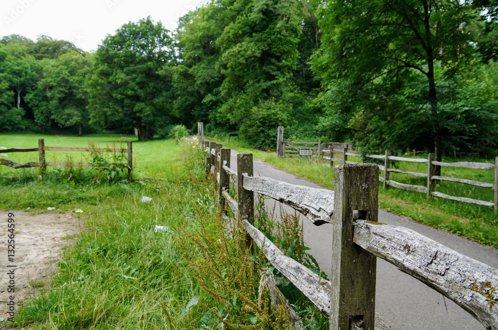 Road on the countryside with trees and old wooden fences.