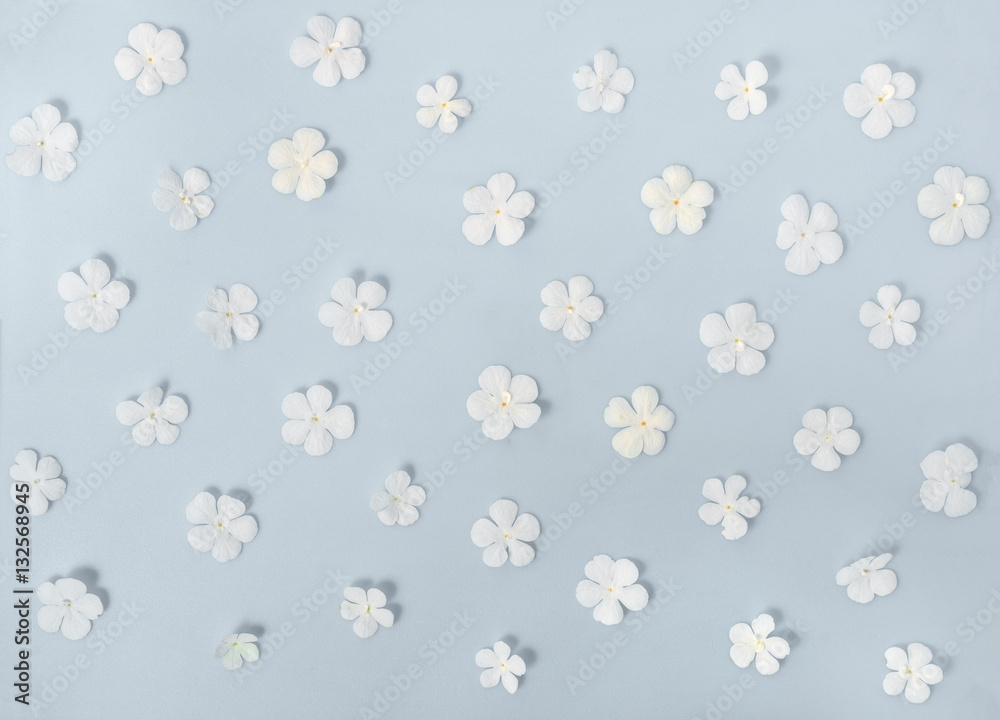 flat lay of beautiful trendy seamless pattern white flowers on b