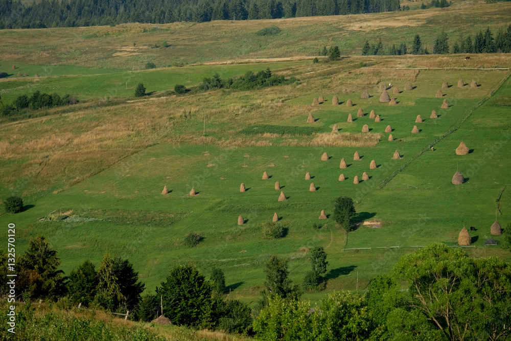 Haystacks on beautiful summer plateau in Carpathian mountain. 