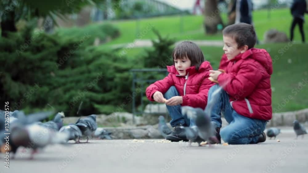 Two cute children, boy brothers, feeding pigeons in the park, autumn time Two cute children, boy brothers, feeding pigeons in the park, autumn time