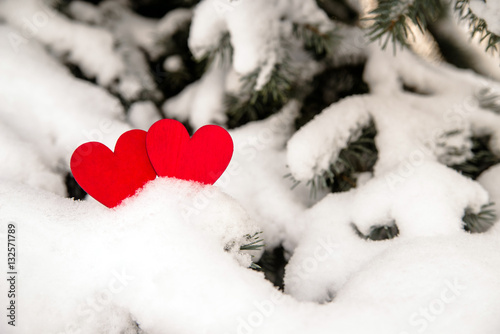 Two red hearts lie on the snow-covered fir branches