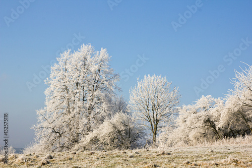 Bäume im Winter, Eis, Frost, blauer Himmel, Spaziergang, frische Luft