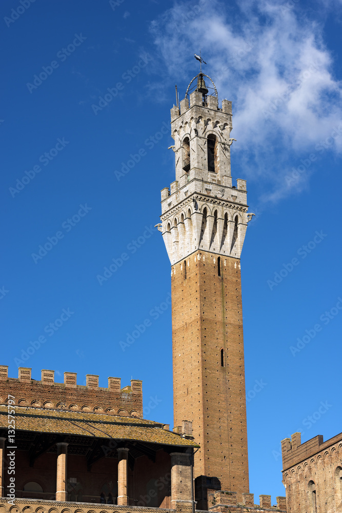 The Torre del Mangia (Tower of Mangia) 1348. City of Siena, Toscana (Tuscany), Italy