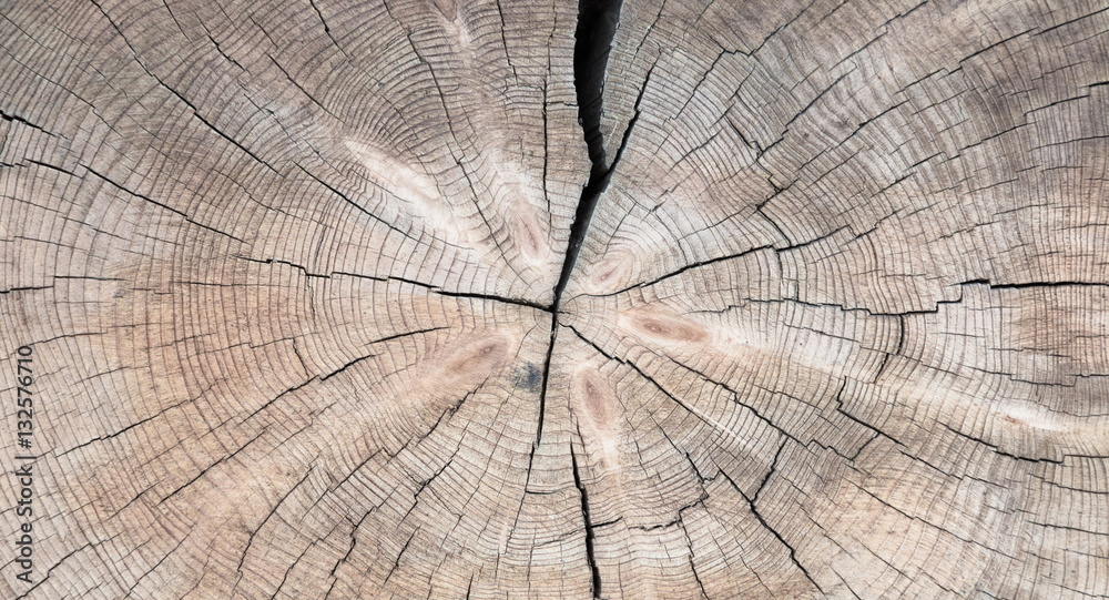 Fototapeta premium Natural Grungy Wooden Texture.