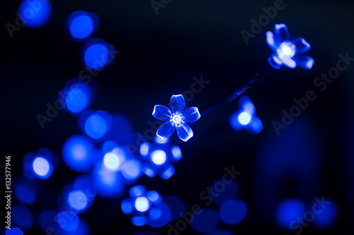 blue flower bokeh background abstract light