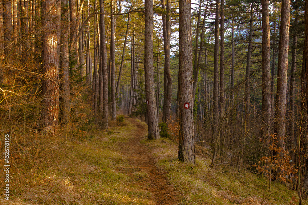 Obraz premium hiking trail