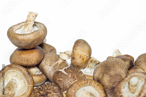 Shiitake mushroom on the white background.