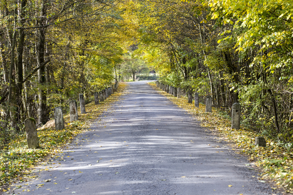 colored autumn and an old road with milestones colored autumn and an old road with milestones