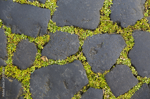 detail of coble stones on the pavement