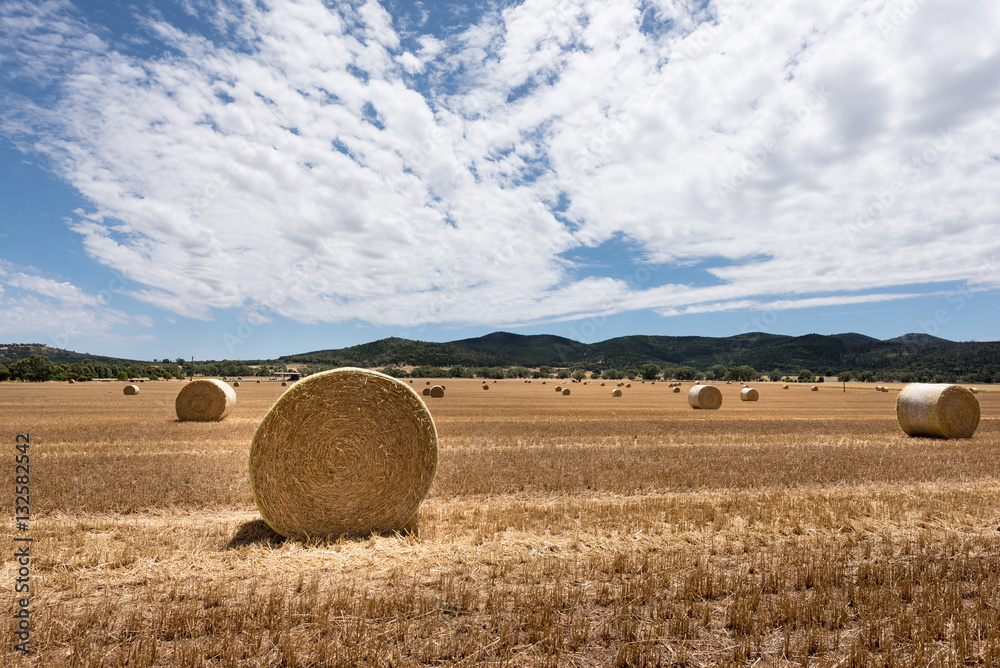 Golden hay bales in agriculture Australian countryside.