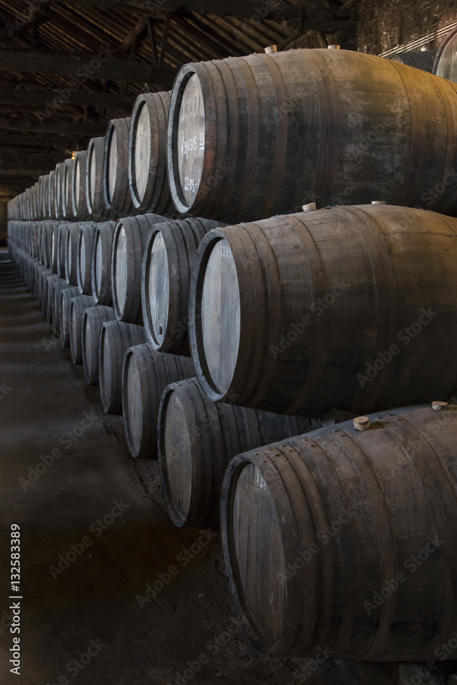 stock of wine barrels in wine cellar in porto