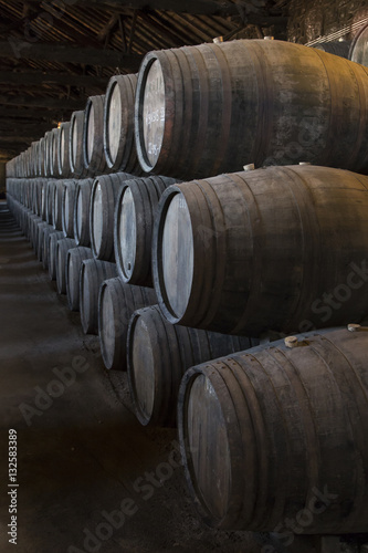 stock of wine barrels in wine cellar in porto