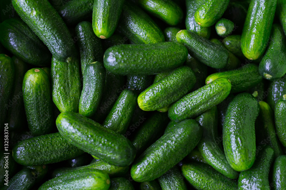 Cucumber Cucumber