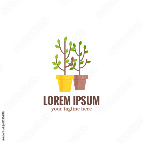 Saplings of garden trees or plants in flowerpots