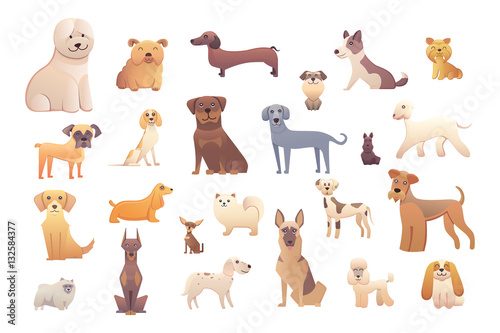 Group of purebred dogs. Illustration for dog training courses  breed club landing page and corporate site design