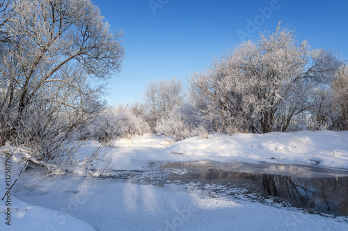 зимний пейзаж с деревьями в инее возле замерзшего ручья, Россия