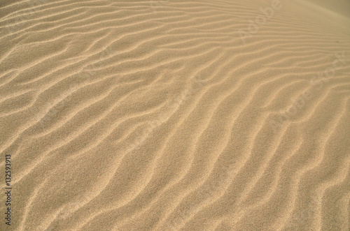 鳥取砂丘の風紋 © shiryu01