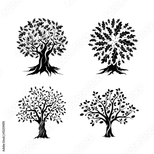 Beautiful oak trees silhouette set