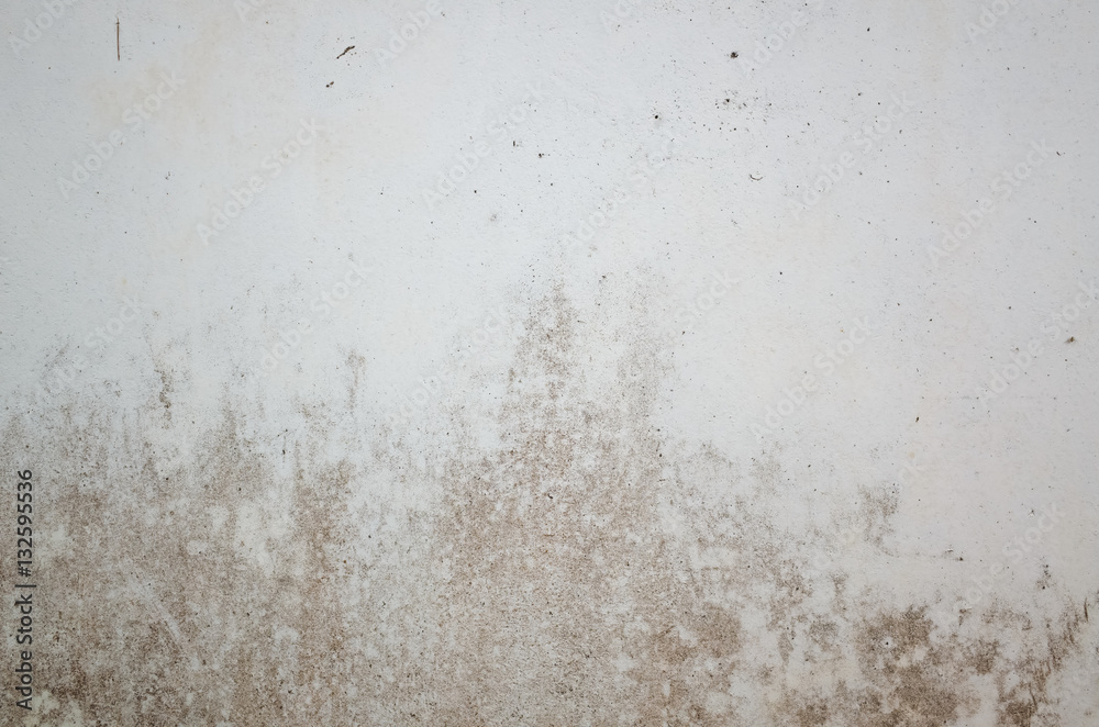 grunge cement wall grunge cement wall