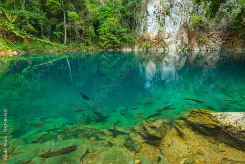 Fototapeta Naklejka Na Ścianę i Meble -  Lom Phu Kiew pond is located in Ngao district of Lampang province, Thailand which has emerald color water and many type of healthy fish.