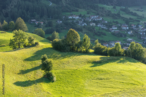 Meadow. Trees, shrubs and hilly green grassland in the evening light. Piburger See, Taxegg, Salzburg, Austria, Europe