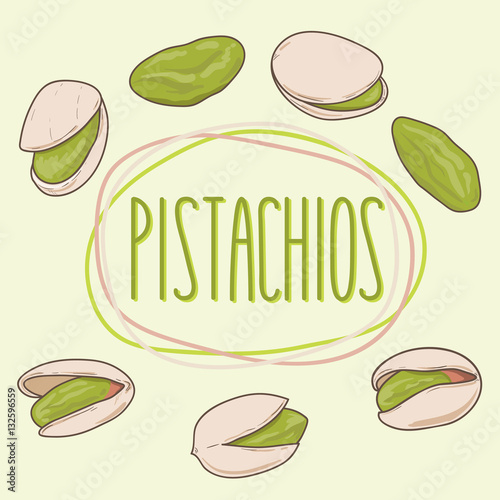 Set of pistachios whole and shelled. Pistachio nuts. Vector hand drawn illustration.