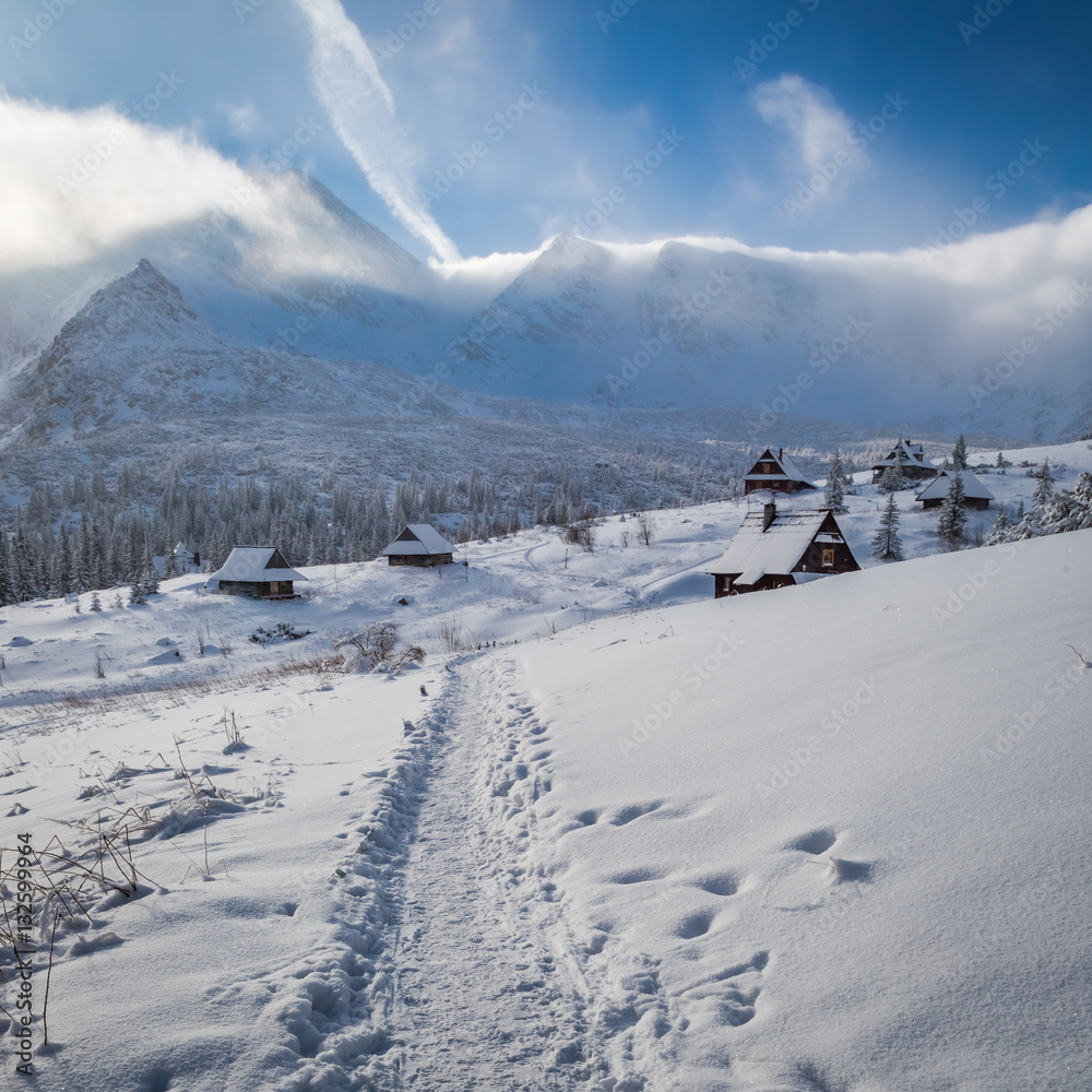 Snowy footpath to the Tatras mountains at winter, Poland