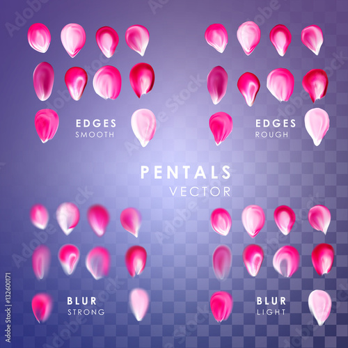 Pink abstract flower petals. Isolated vector blur, smooth and rough edges petals set.