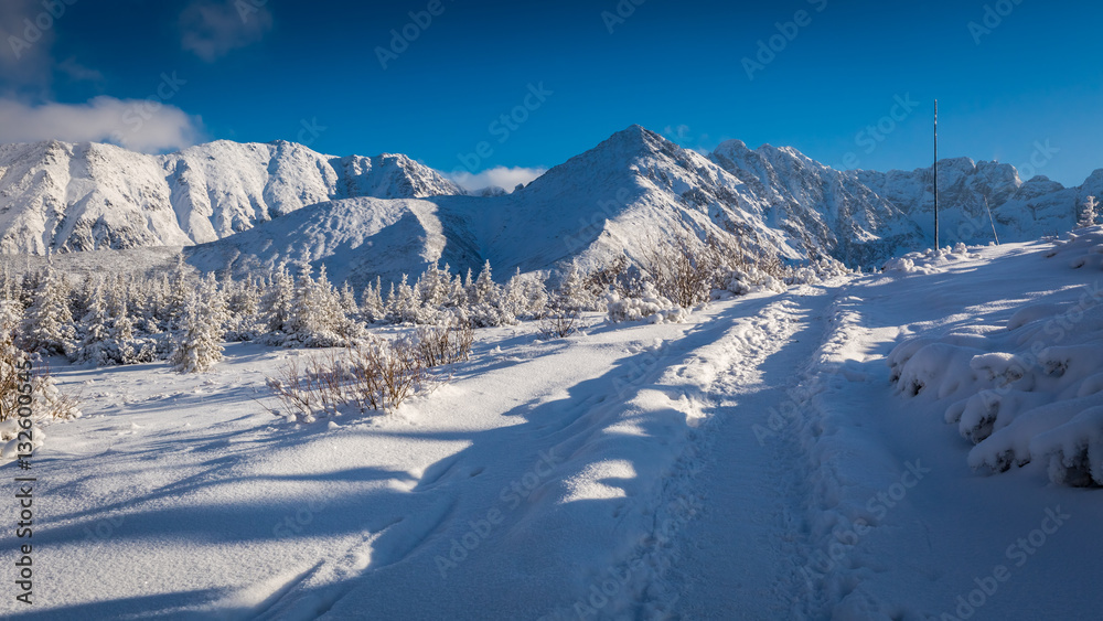 Snowy mountain trail in the Tatra Mountains in Poland