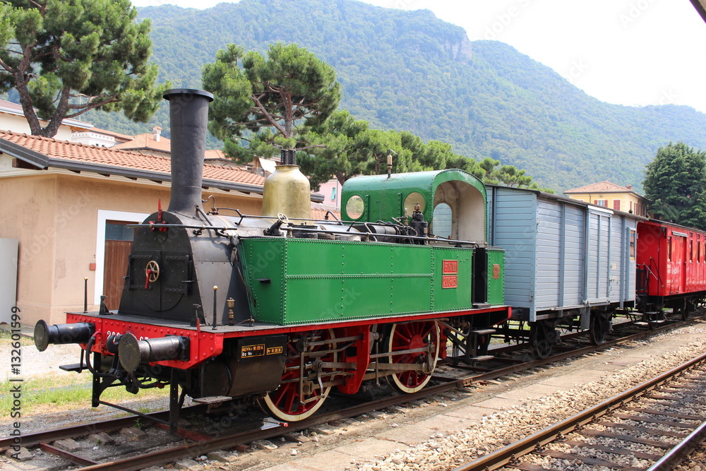 Naklejka premium treno