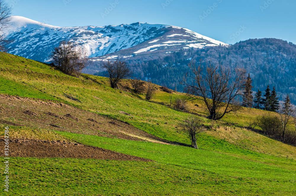 snowy tops of carpathians in spring