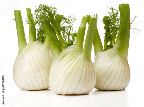 Fresh fennel bulb isolated on white background close up