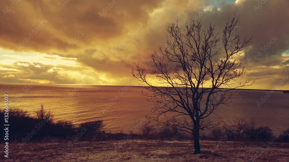 Coastline in twilight