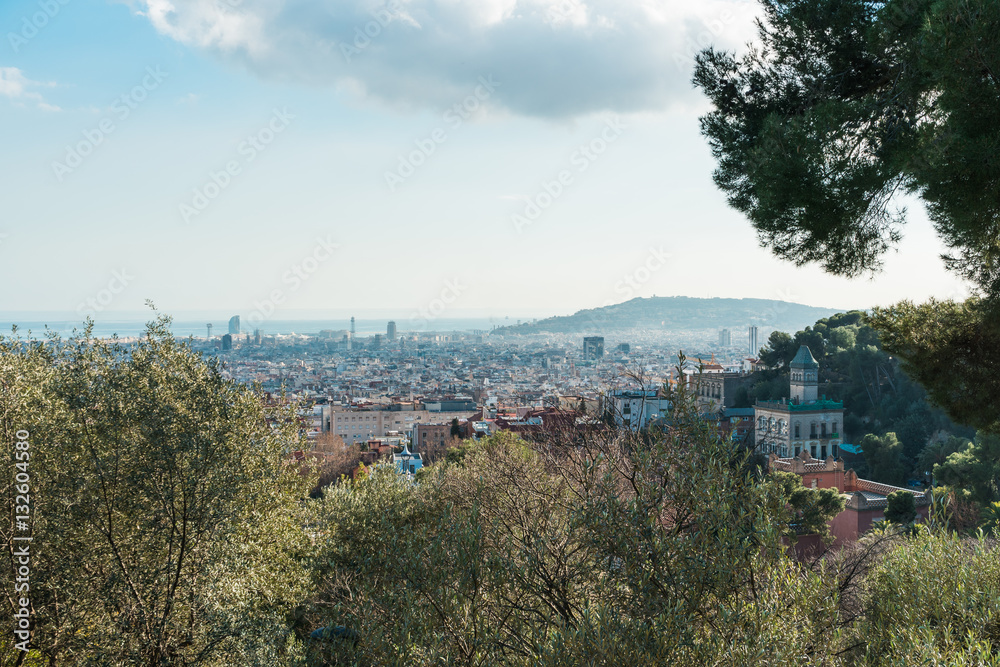 some trees are framing barcelona city in the background some trees are framing barcelona city in the background