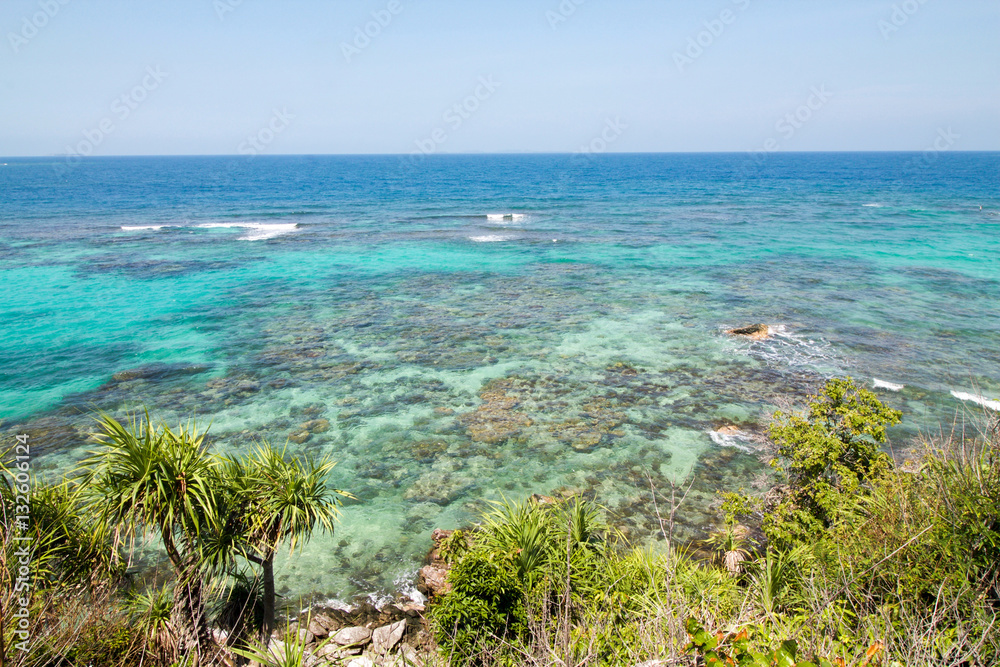 the beautiful reef near Anora beach in Karimunjawa island, Indon
