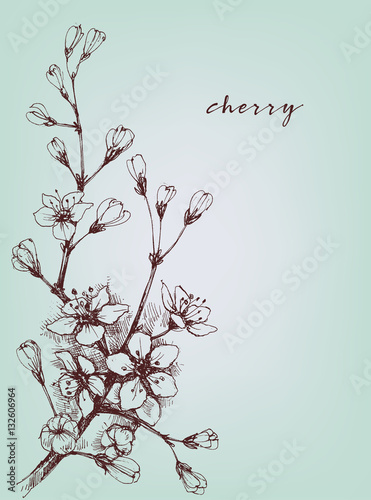 Vector artistic flowers, cherry floral branch