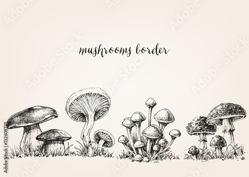 Cute mushrooms border, hand drawn collection