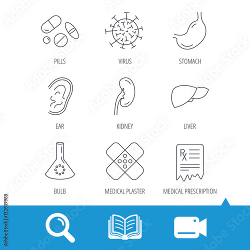 Pills, medical plaster and prescription icons. Virus, stomach and liver linear signs. Ear, kidney and lab bublb icons. Video cam, book and magnifier search icons. Vector