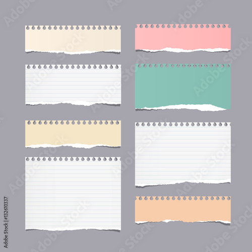 Pieces of ripped different size colorful note, notebook, copybook paper sheets stuck on gray background