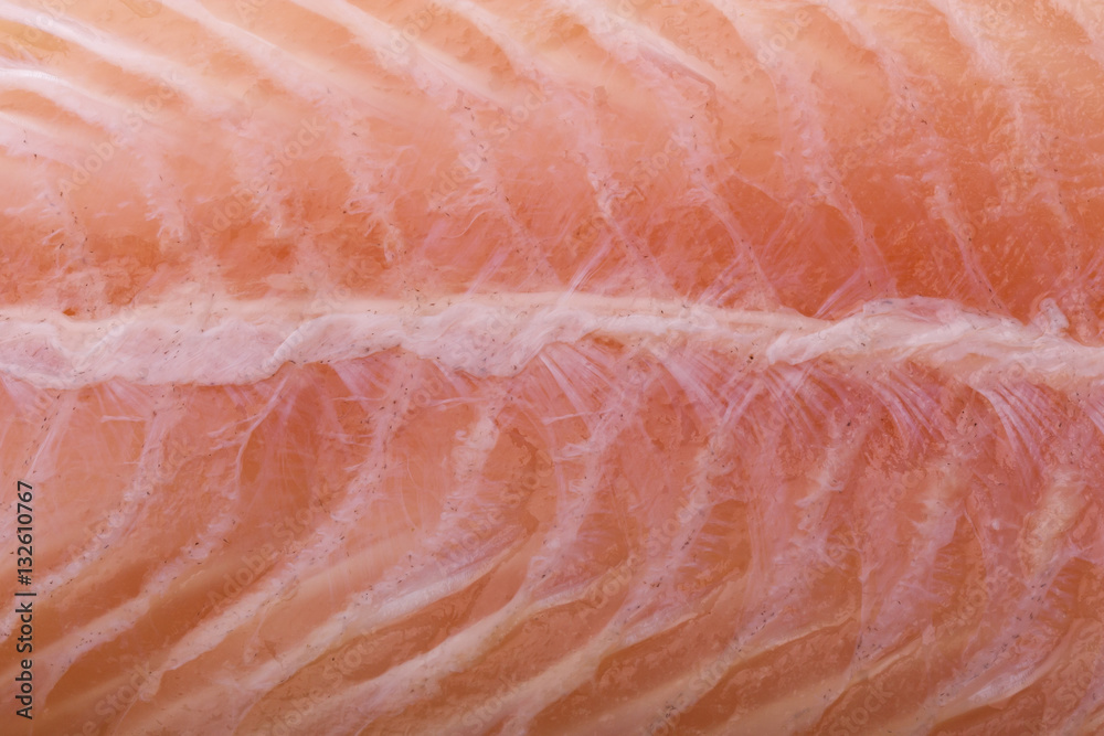 Fish fillet Fish fillet
