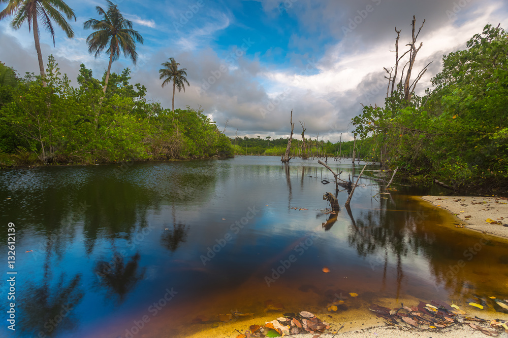 Obraz premium the beach 