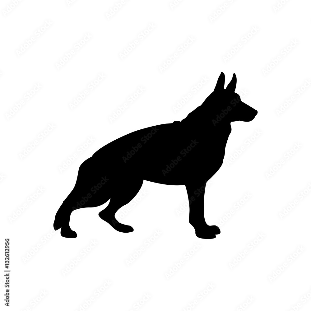 Shepherd dog vector illustration  black silhouette