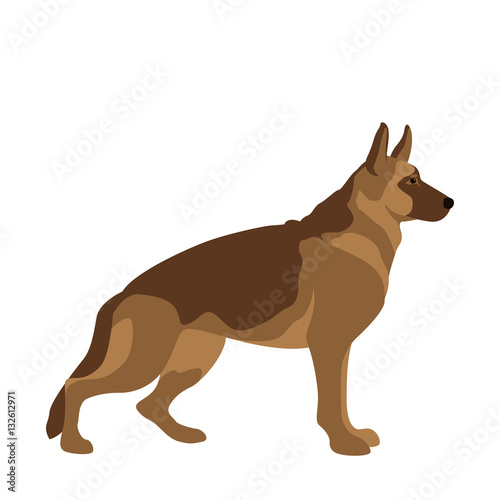 Shepherd dog vector illustration style Flat