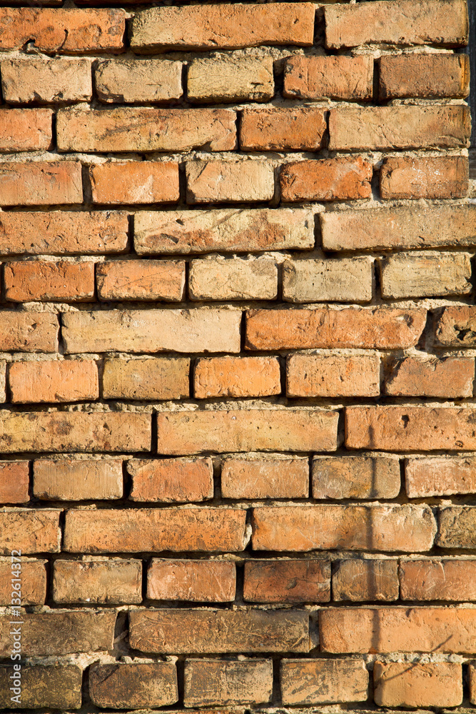 Obraz premium Brick wall in a close up