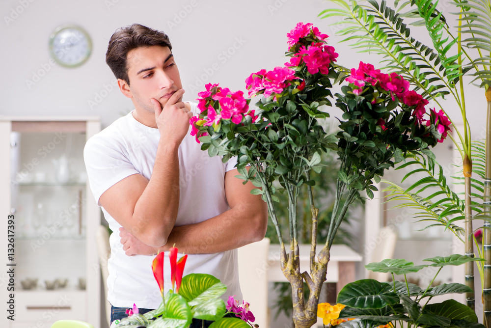 Man taking care of plants at home Man taking care of plants at home