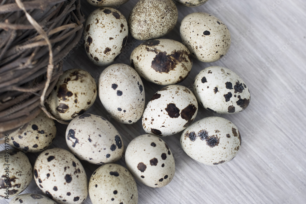 quail eggs near the spring nest on a white wooden background