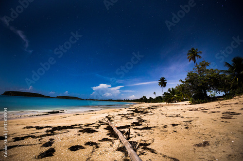 Midnight Bamboo, Sun Bay, Vieques, Puerto Rico photo