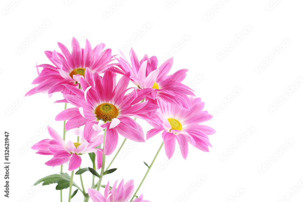 Bouquet of chrysanthemum flowers isolated on a white Bouquet of chrysanthemum flowers isolated on a white