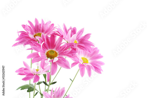 Bouquet of chrysanthemum flowers isolated on a white
