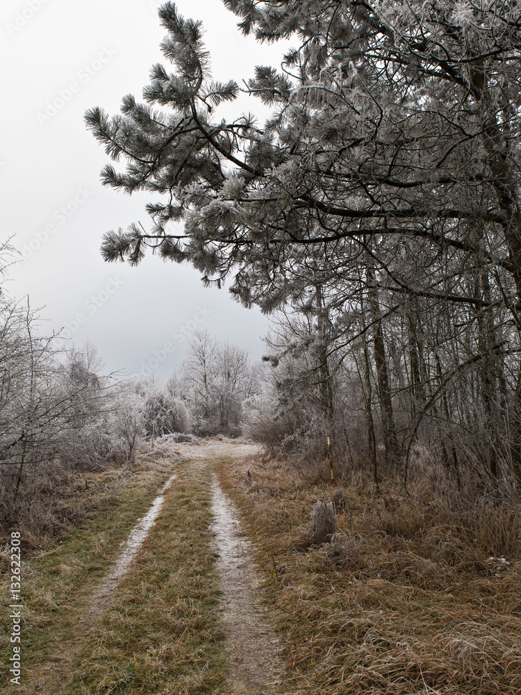 Straßen, Pfade und Wege im Winter: Natur genießen Straßen, Pfade und Wege im Winter: Natur genießen
